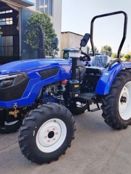 WhatsApp Image 2023-11-28 at 10.14.52 (3)